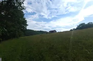 534 Strauter Rd, Franklin, WV 26807 - Photo 14