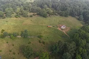 534 Strauter Rd, Franklin, WV 26807 - Photo 2