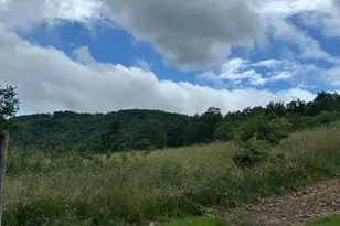 534 Strauter Rd, Franklin, WV 26807 - Photo 24