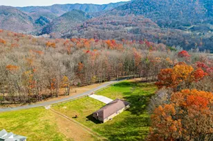 645 Lower North Fork Rd, Seneca Rocks, WV 26884 - Photo 4