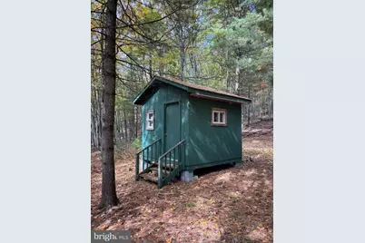 3825 Dickenson Mountain Road, Franklin, WV 26807 - Photo 32