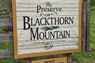 Native Trout Dr, Sugar Grove, WV 26815 - Photo 1