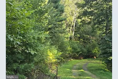 Native Trout Drive, Sugar Grove, WV 26815 - Photo 2