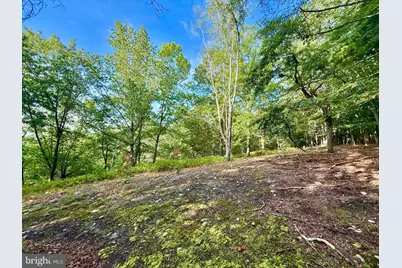 Us Route 220, Franklin, WV 26807 - Photo 22