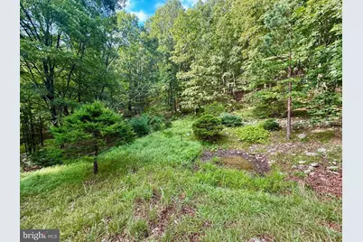 Us Route 220, Franklin, WV 26807 - Photo 28