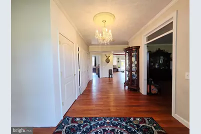 540 Plum Run Road, Sugar Grove, WV 26815 - Photo 22