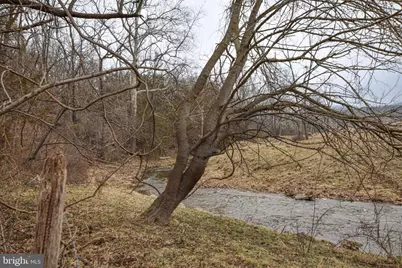 11088 Petersburg Pike, Upper Tract, WV 26866 - Photo 34
