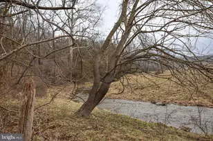 11088 Petersburg Pike, Upper Tract, WV 26866 - Photo 34