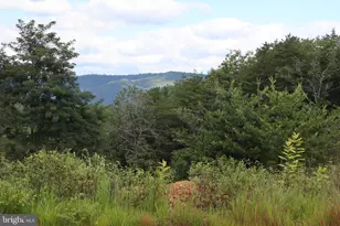 418 R & R Ridge Rd, Brandywine, WV 26802 - Photo 32