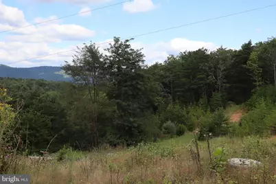 418 R & R Ridge Rd, Brandywine, WV 26802 - Photo 34