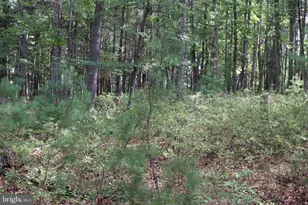 418 R & R Ridge Rd, Brandywine, WV 26802 - Photo 42