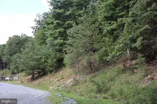 106 Pit Run Rd, Brandywine, WV 26802 - Photo 44
