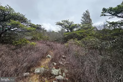 148 Pond Road, Franklin, WV 26807 - Photo 10