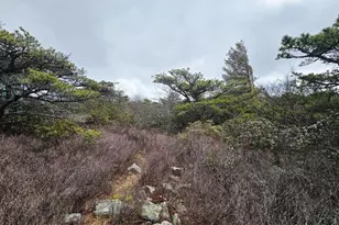 148 Pond Rd, Franklin, WV 26807 - Photo 10