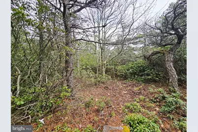 148 Pond Road, Franklin, WV 26807 - Photo 20