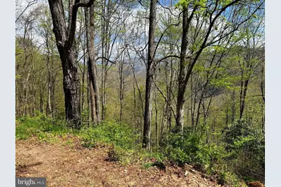 Tract A-30.82 Acs Straders Run Road, Seneca Rocks, WV 26884 - Photo 8