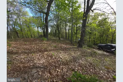 384 Scarlet Tanager Trail, Franklin, WV 26807 - Photo 44