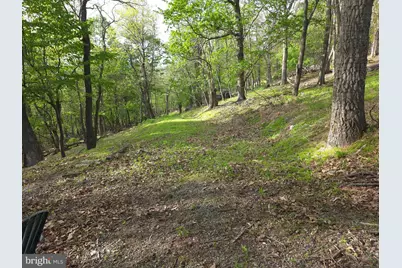 384 Scarlet Tanager Trail, Franklin, WV 26807 - Photo 42