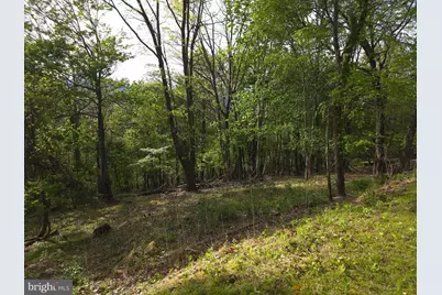 384 Scarlet Tanager Trail, Franklin, WV 26807 - Photo 56