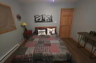 384 Scarlet Tanager Trl, Franklin, WV 26807 - Photo 26