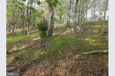 384 Scarlet Tanager Trail, Franklin, WV 26807 - Photo 60