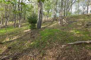 384 Scarlet Tanager Trl, Franklin, WV 26807 - Photo 60