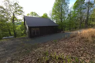 384 Scarlet Tanager Trl, Franklin, WV 26807 - Photo 46