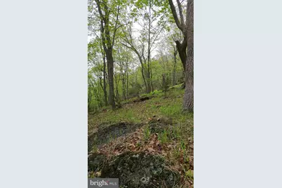 740 Deer Crossing Trail, Franklin, WV 26807 - Photo 10