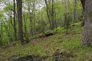 740 Deer Xing Trl, Franklin, WV 26807 - Photo 10