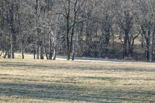 515 Lookout Ln, Riverton, WV 26814 - Photo 66