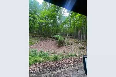 Edgar Lane, Upper Tract, WV 26866 - Photo 14