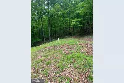 Edgar Lane, Upper Tract, WV 26866 - Photo 4