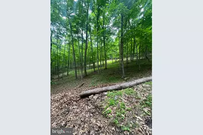 Edgar Lane, Upper Tract, WV 26866 - Photo 12