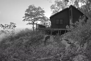 829 Kile Knob Rd, Franklin, WV 26807 - Photo 6