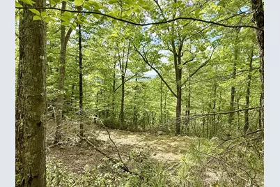 Deer Crossing Trail, Franklin, WV 26807 - Photo 2