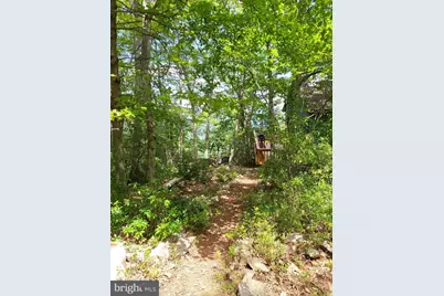 207 Lower Knob Road, Franklin, WV 26807 - Photo 30
