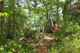 207 Lower Knob Rd, Franklin, WV 26807 - Photo 30