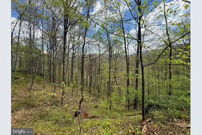 Tract 1 & 2-56.7 Acs Straders Run Road, Seneca Rocks, WV 26884 - Photo 14