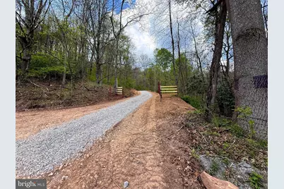 Tract 1 & 2-56.7 Acs Straders Run Road, Seneca Rocks, WV 26884 - Photo 44