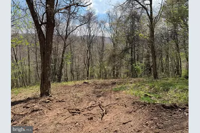 Tract 1 & 2-56.7 Acs Straders Run Road, Seneca Rocks, WV 26884 - Photo 50