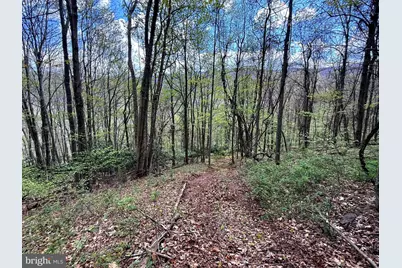 Tract 1 & 2-56.7 Acs Straders Run Road, Seneca Rocks, WV 26884 - Photo 38