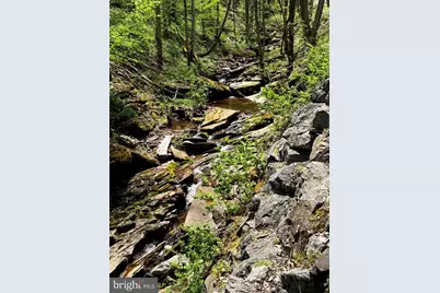 Tract 1 & 2-56.7 Acs Straders Run Road, Seneca Rocks, WV 26884 - Photo 16
