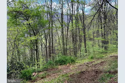 Tract 1 & 2-56.7 Acs Straders Run Road, Seneca Rocks, WV 26884 - Photo 34