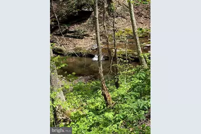 Tract 1 & 2-56.7 Acs Straders Run Road, Seneca Rocks, WV 26884 - Photo 18