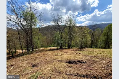 Tract 1 & 2-56.7 Acs Straders Run Road, Seneca Rocks, WV 26884 - Photo 6