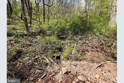 Tract 1 & 2-56.7 Acs Straders Run Road, Seneca Rocks, WV 26884 - Photo 22