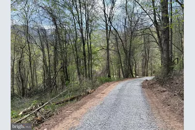 Tract 1 & 2-56.7 Acs Straders Run Road, Seneca Rocks, WV 26884 - Photo 46