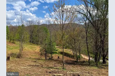 Tract 1 & 2-56.7 Acs Straders Run Road, Seneca Rocks, WV 26884 - Photo 30