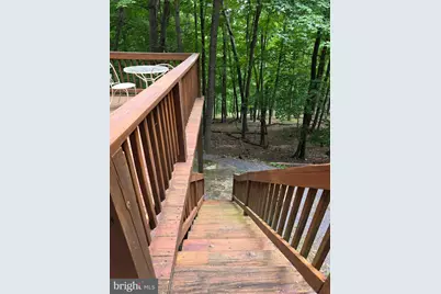565 Scarlet Tanager Trl Trail, Franklin, WV 26807 - Photo 12