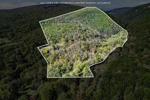30 Polecat Hollow Blvd, Franklin, WV 26807 - Photo 70